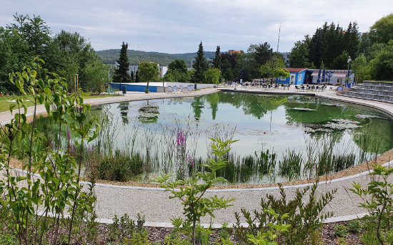 Eckert Beach Pool - Regenstauf