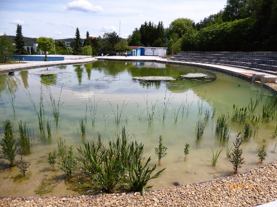 Eckert Beach Pool - Regenstauf
