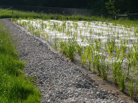naturbad grosshabersdorf